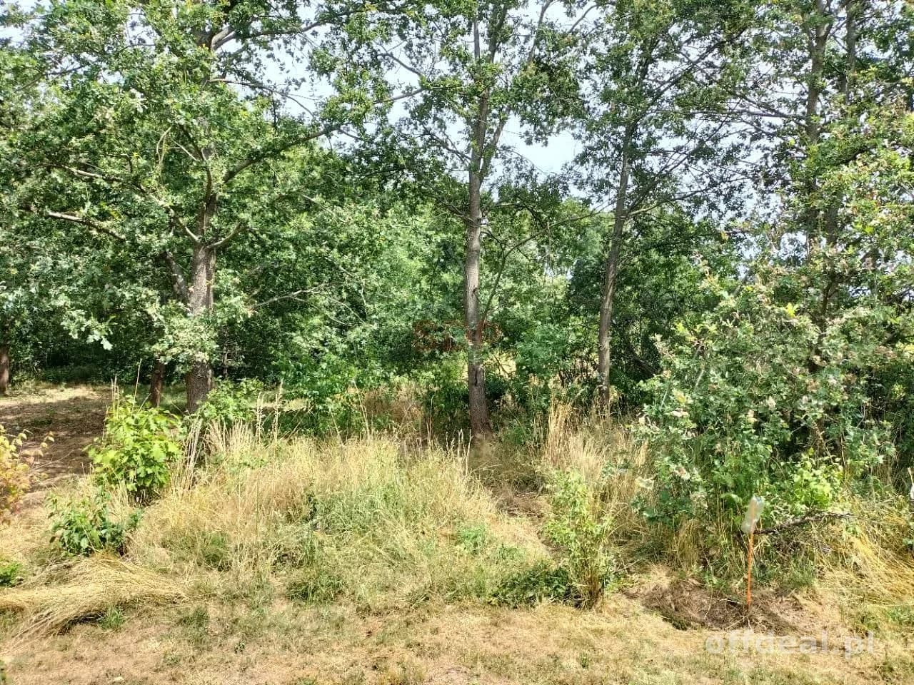 Grundstück zum Verkauf in Rościsławice | 14.708 m²