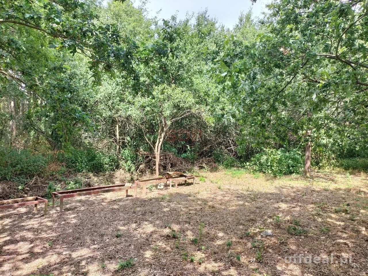 Grundstück zum Verkauf in Rościsławice | 14.708 m²