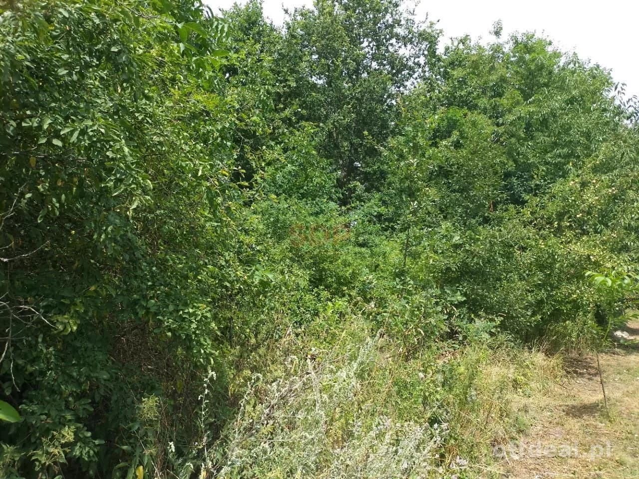Grundstück zum Verkauf in Rościsławice | 14.708 m²