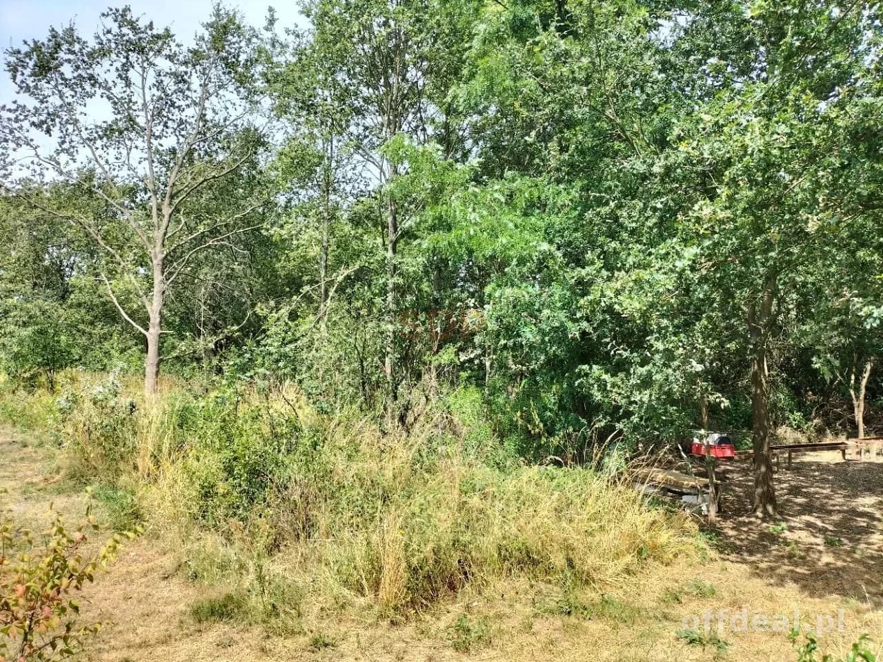 Grundstück zum Verkauf in Rościsławice | 14.708 m²