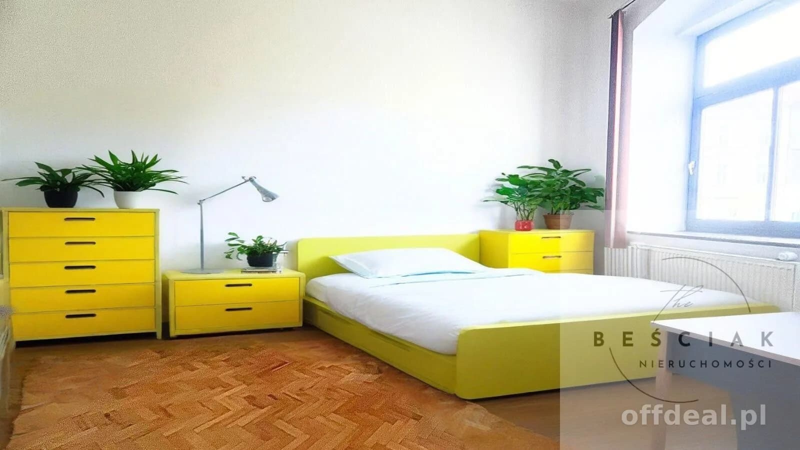🌿 Jasny pokój 20 m² w centrum miasta – elastyczne warunki najmu 🌿