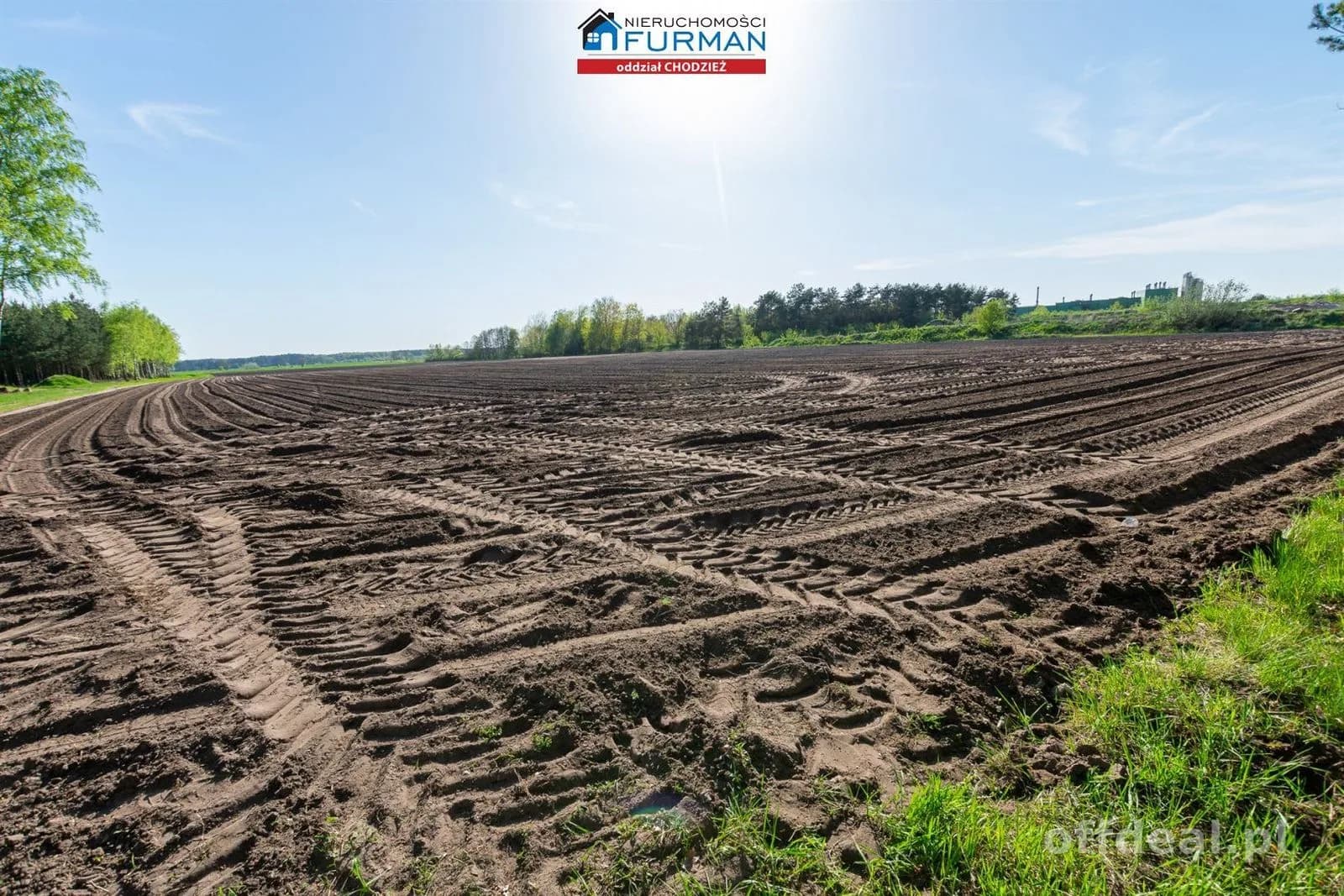 Na sprzedaż działka rolna w Budzyniu.