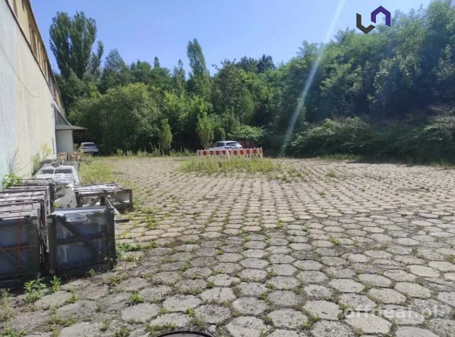Lokal na wynajem, Sosnowiec