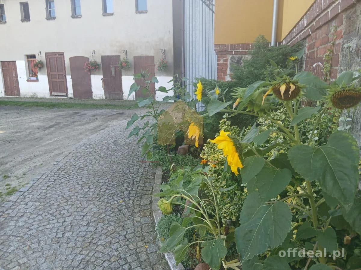 Mieszkanie 55,40 m2 z garażem w centrum Żarowa