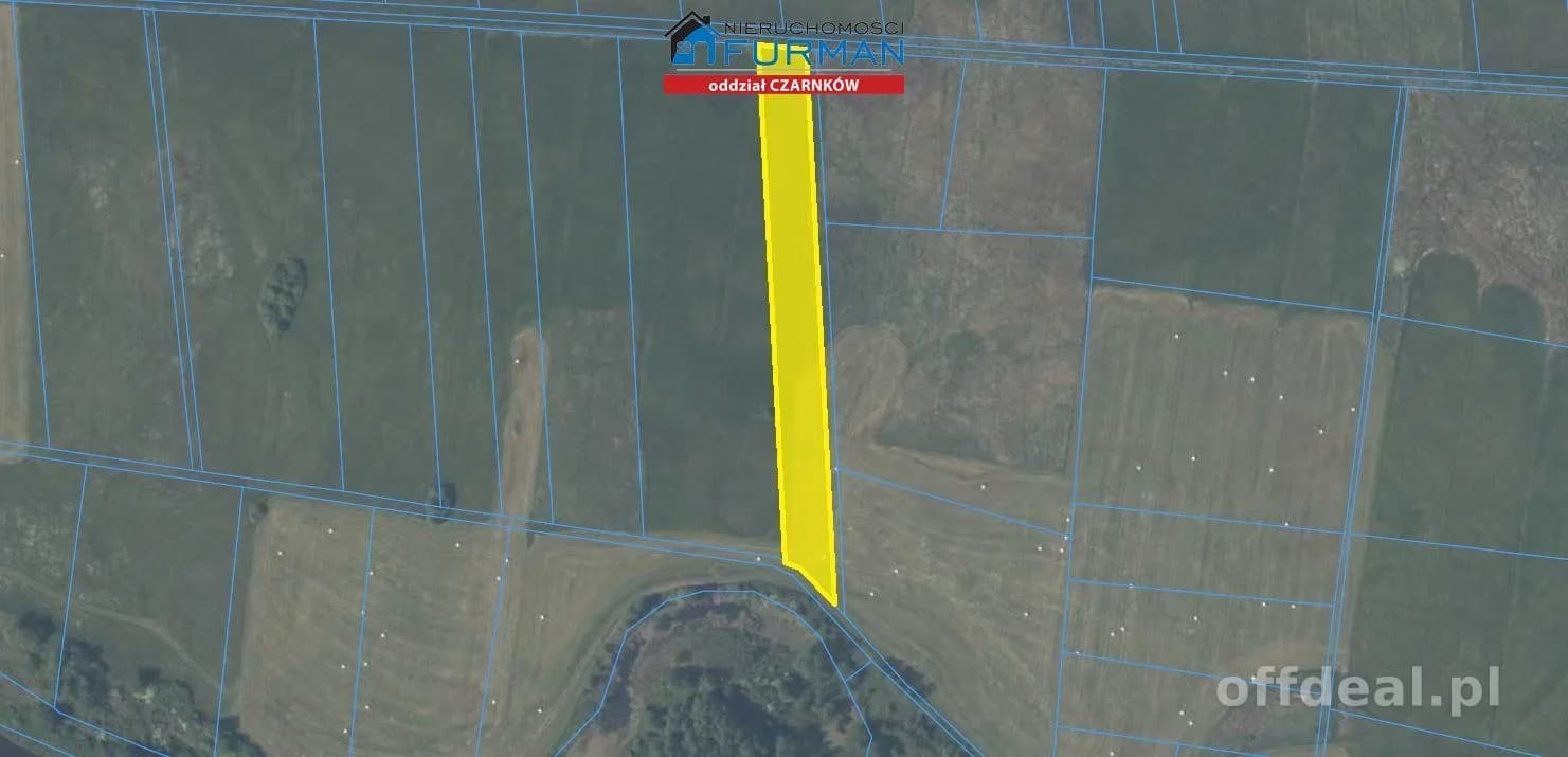 terrain à vendre à Jędrzejewo | 15 800 m²