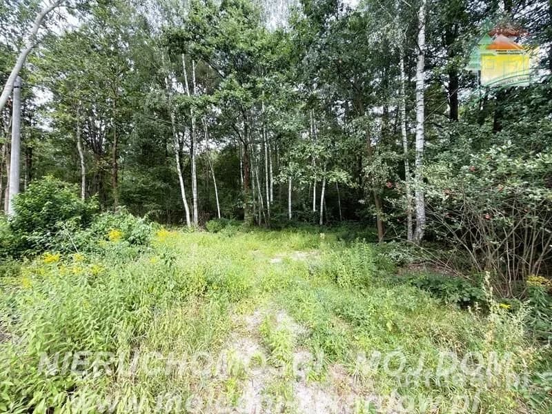 Photo 14: Plot, 5854 m², Zazdrość