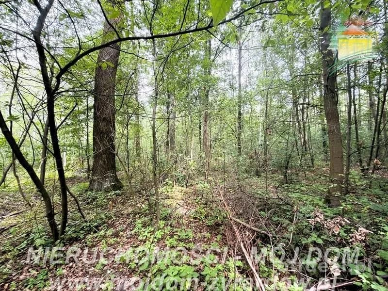 Photo 10: Plot, 5854 m², Zazdrość