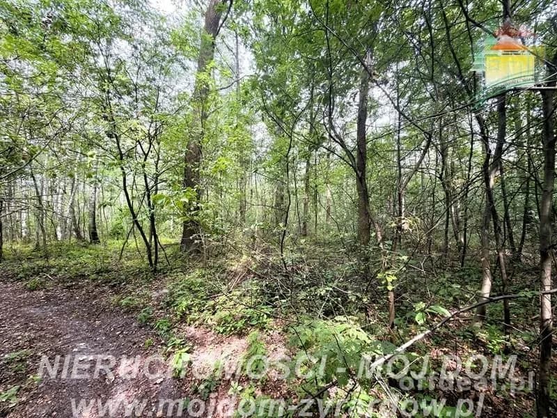 Photo 8: Plot, 5854 m², Zazdrość
