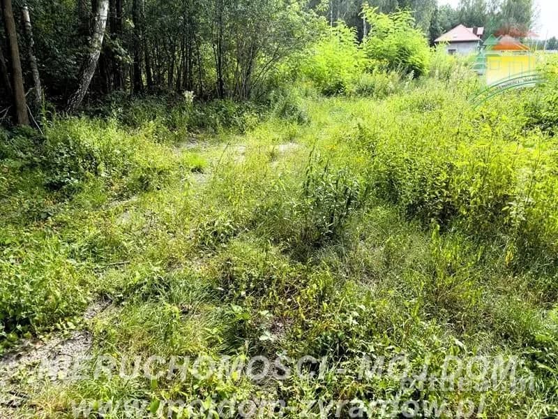 Photo 4: Plot, 5854 m², Zazdrość