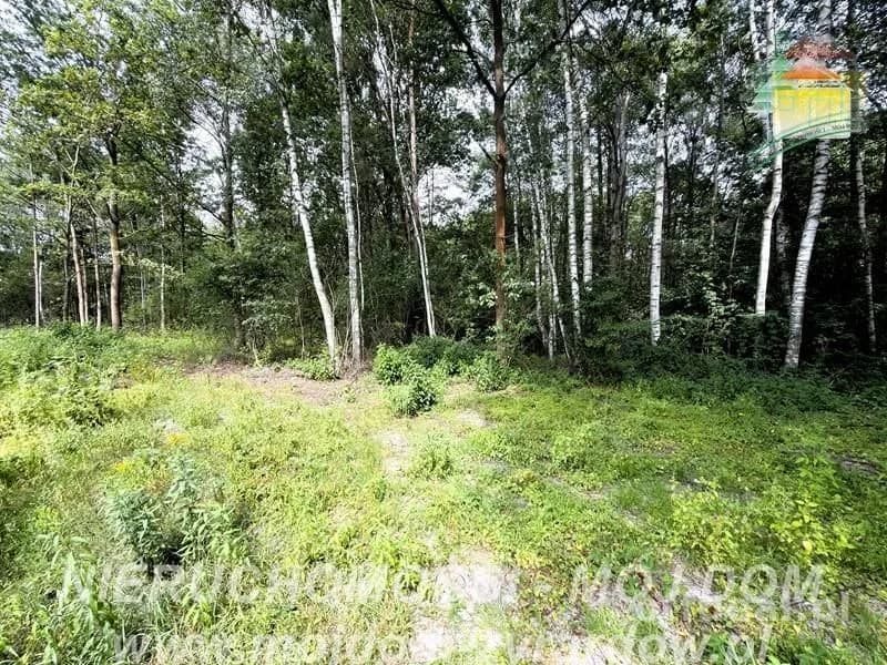 Photo 1: Plot, 5854 m², Zazdrość