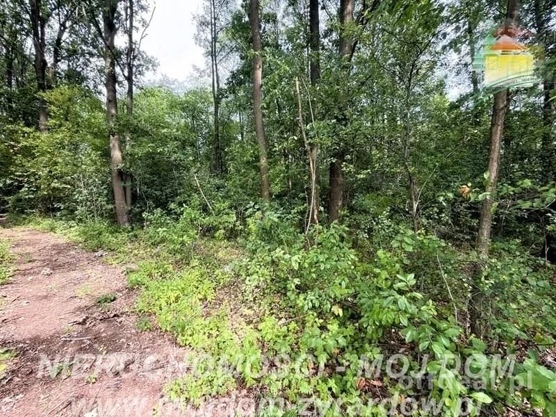 Photo 7: Plot, 5854 m², Zazdrość
