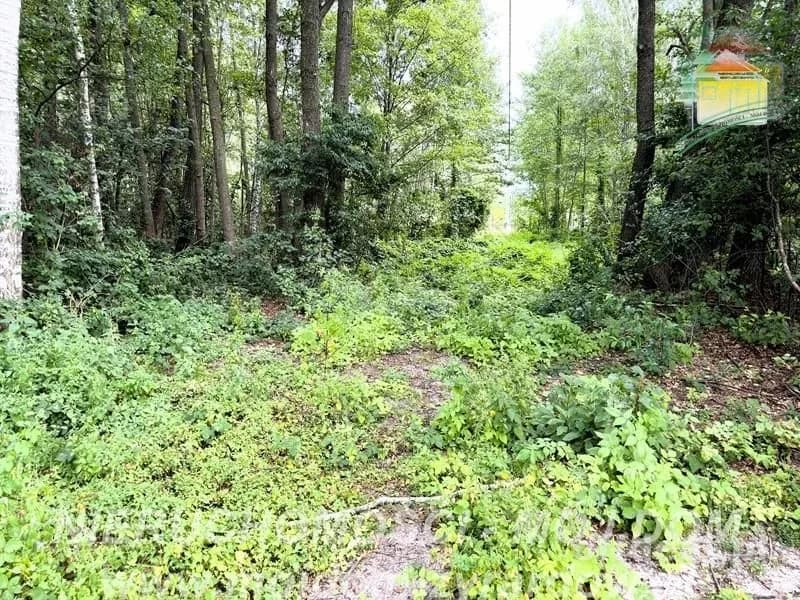 Photo 11: Plot, 5854 m², Zazdrość