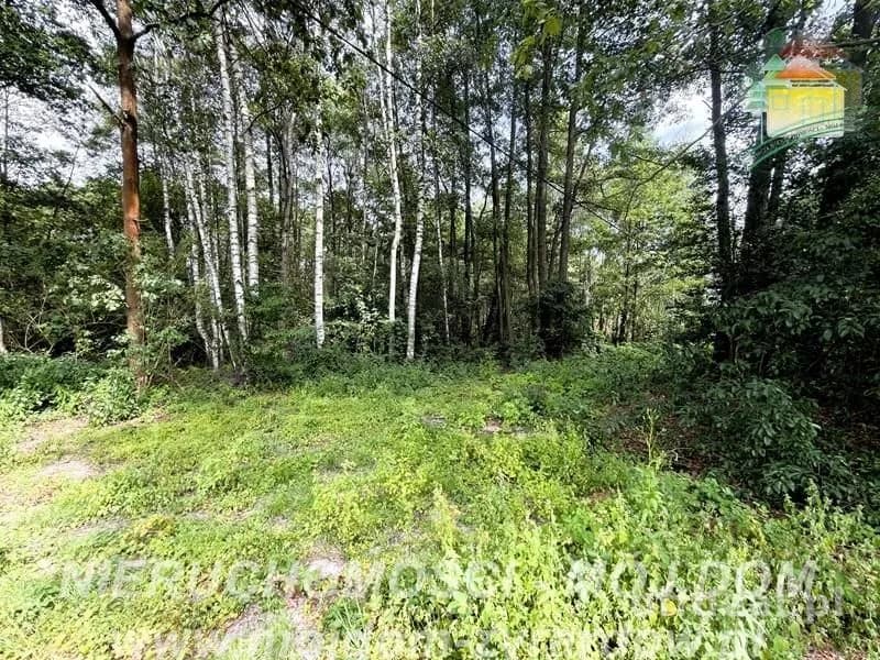 Photo 6: Plot, 5854 m², Zazdrość