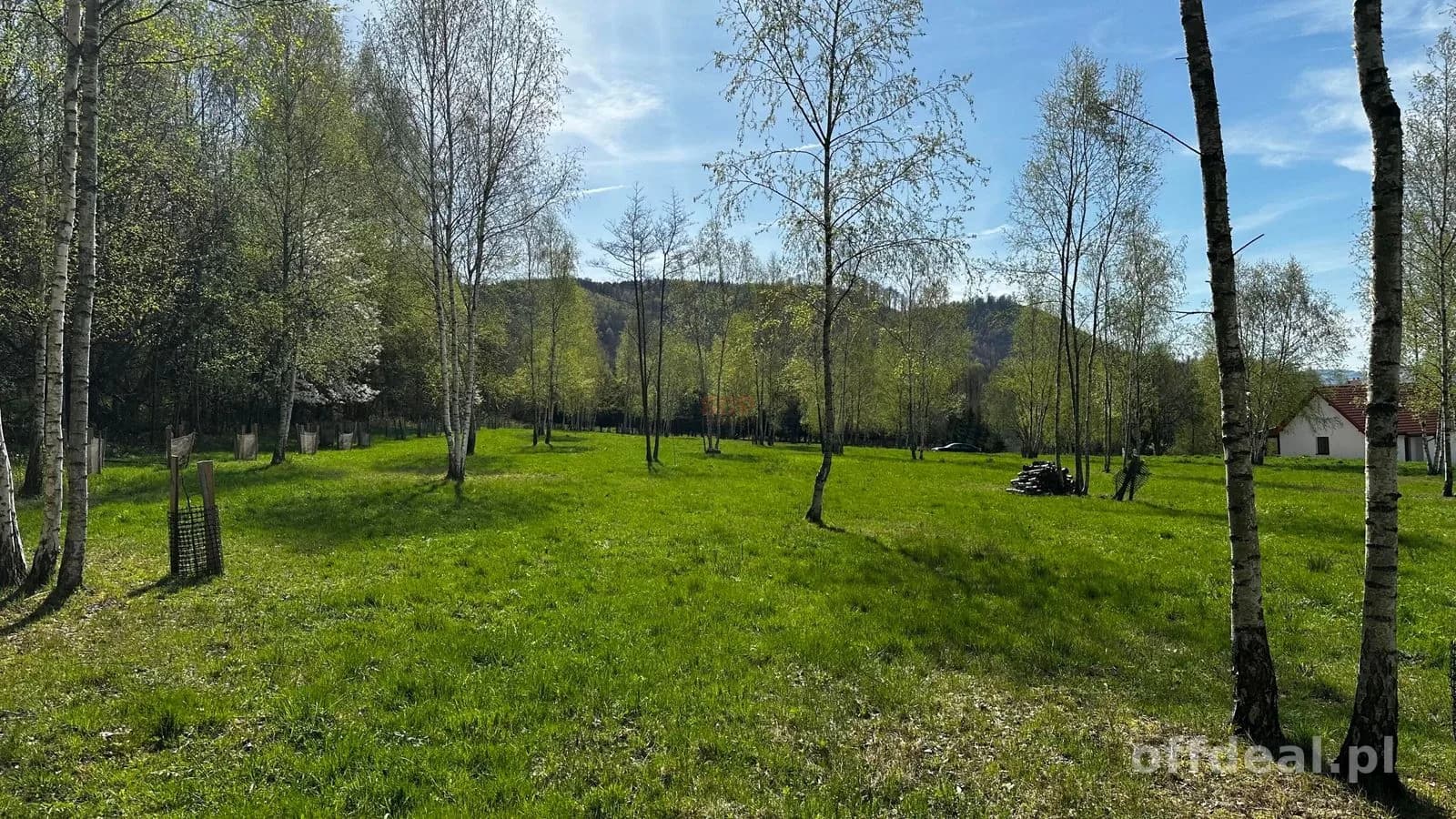 Działka o powierzchni około 2000 m2 w Nowej Wsi