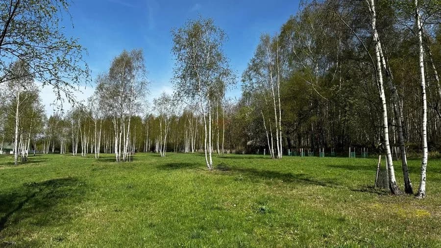Działka mieszkaniowo-rekreacyjna o powierzchni 3753m2 w Nowej Wsi