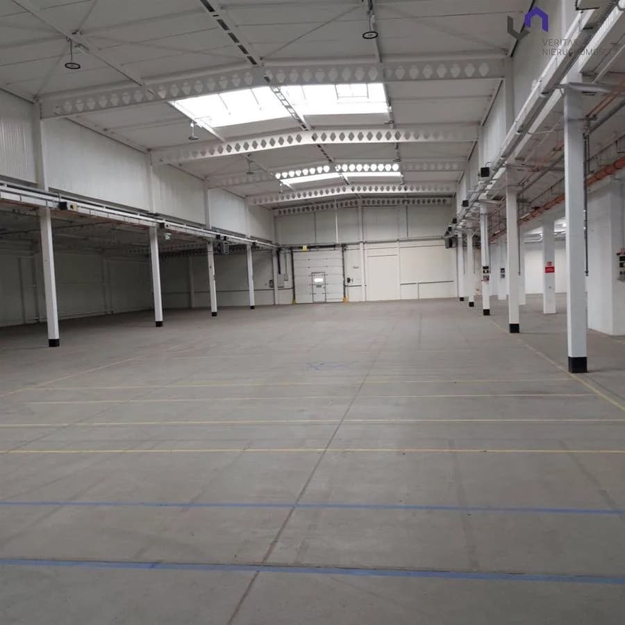 Lokal na wynajem, Katowice