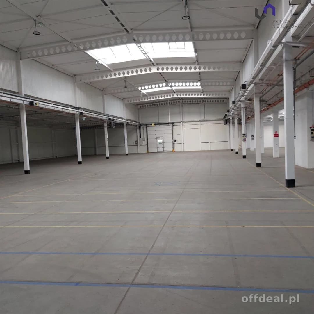 Lokal na wynajem, Katowice