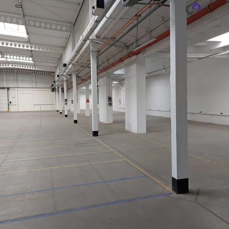 Lokal na wynajem, Katowice