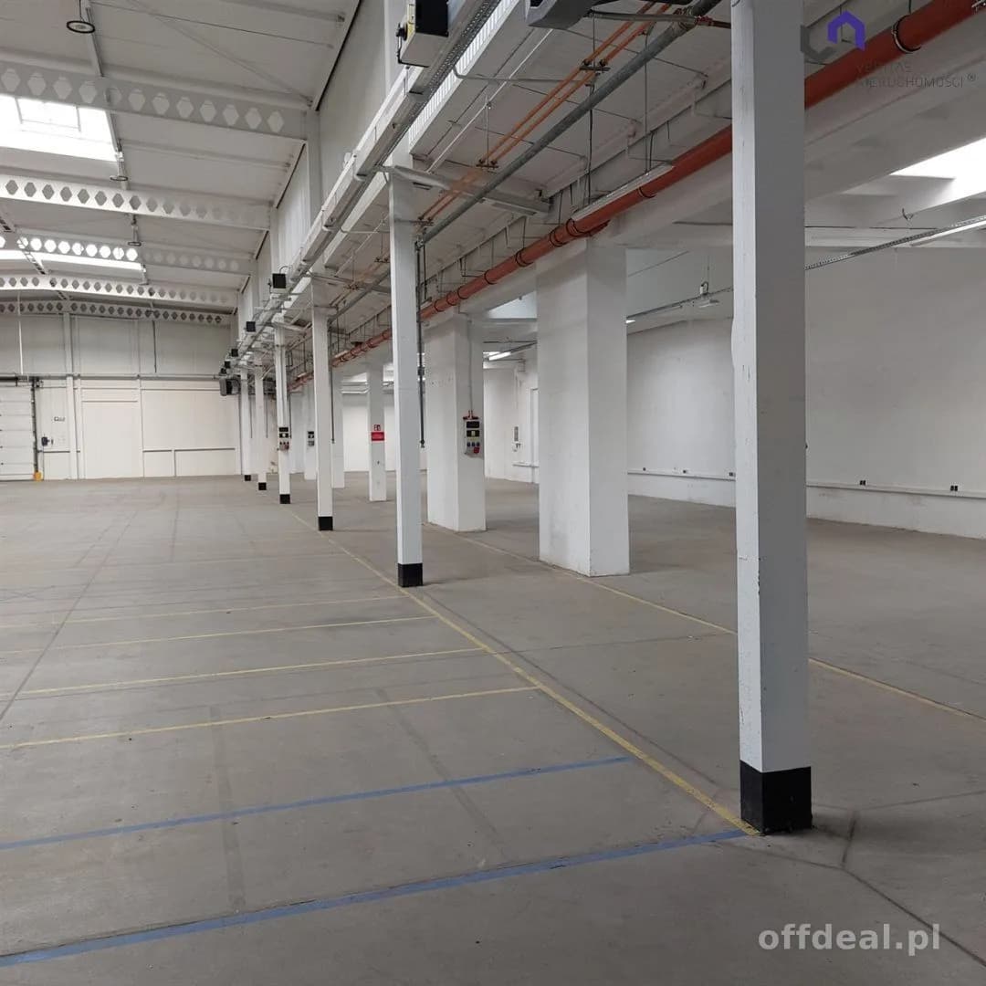Lokal na wynajem, Katowice