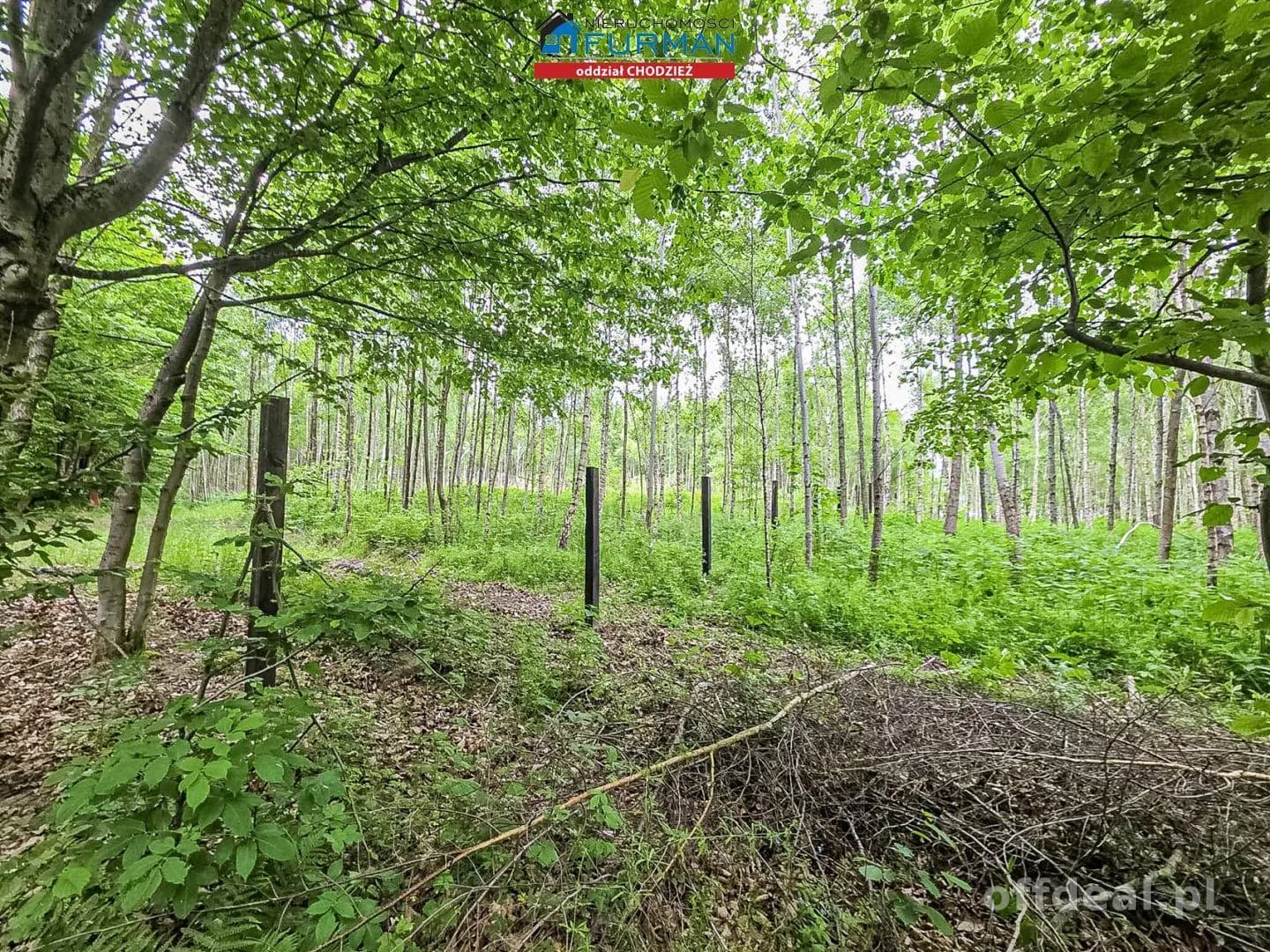 Na sprzedaż działka w Popielewie gm Połczyn-Zdrój