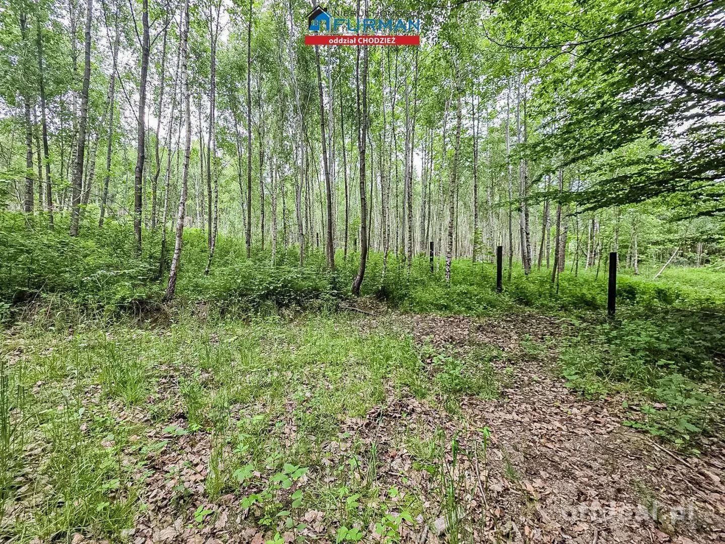 Na sprzedaż działka w Popielewie gm Połczyn-Zdrój