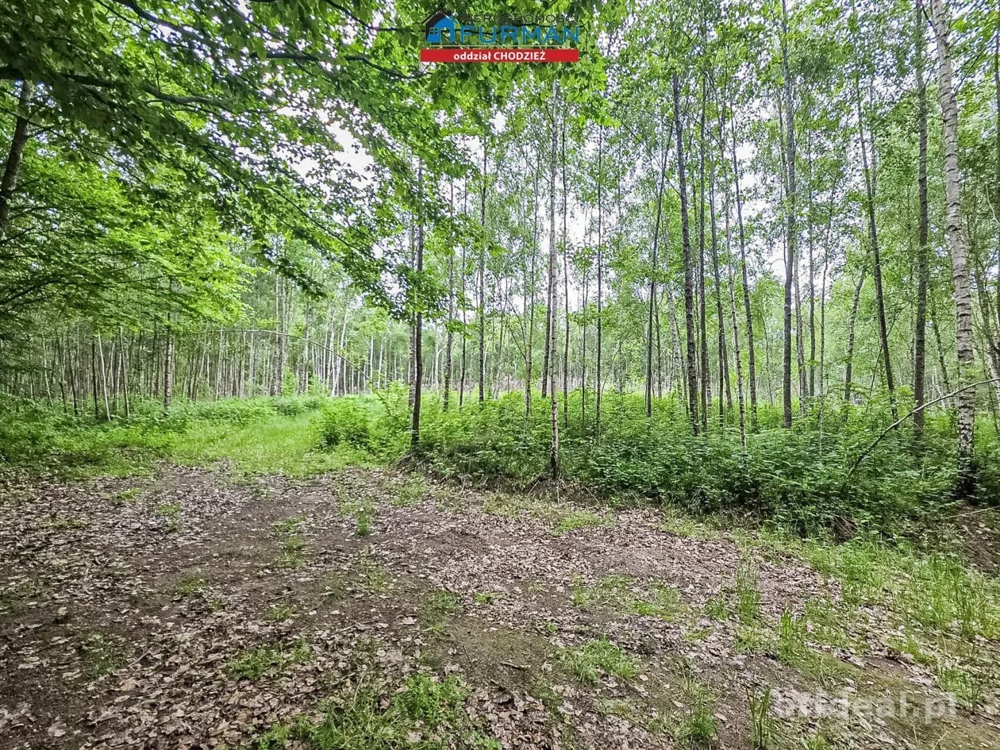 Na sprzedaż działka w Popielewie gm Połczyn-Zdrój