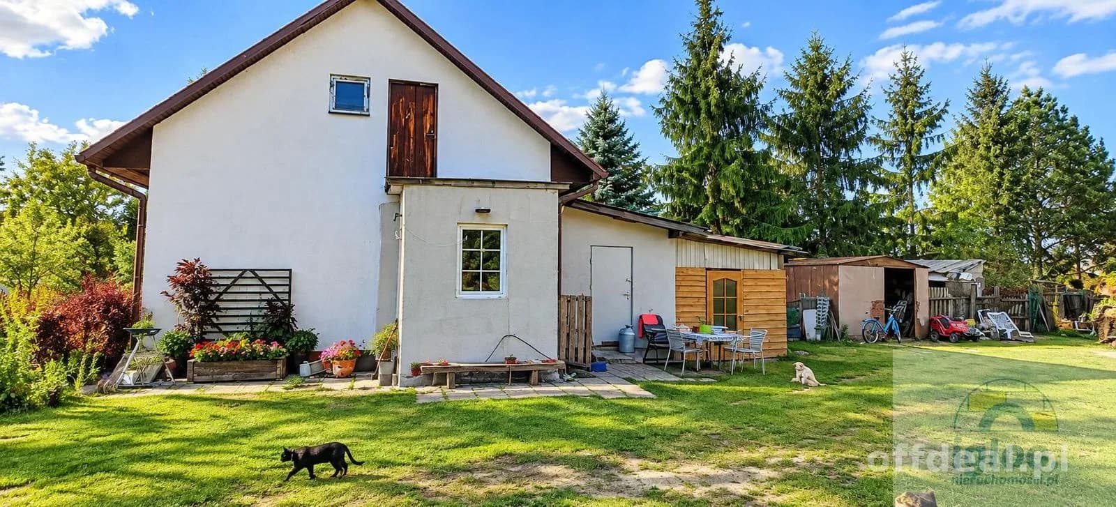 Photo 10: Maison, 3 rooms, 60 m², Włoszczowice