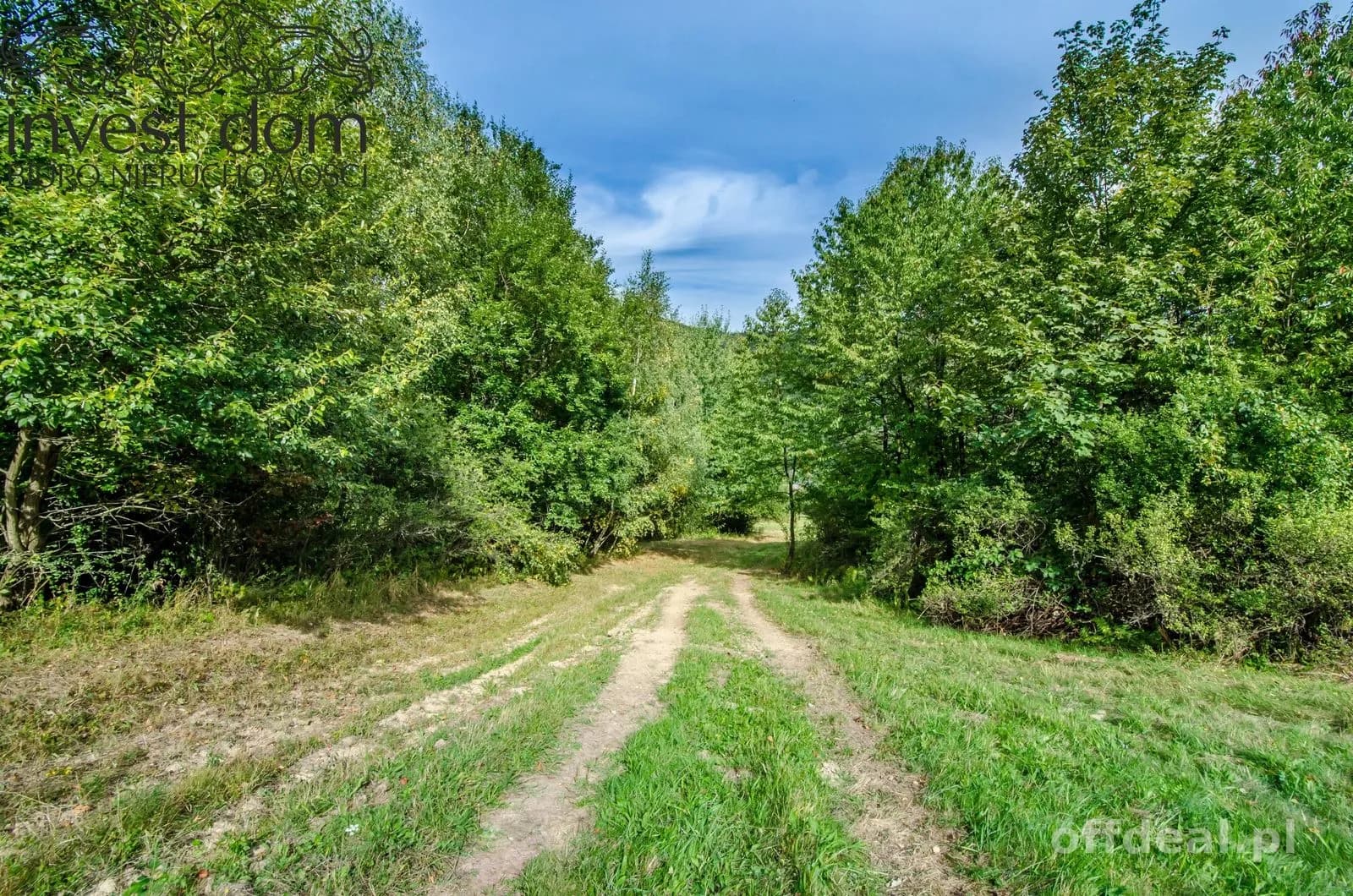 Zdjęcie 13: Działka, 20300 m², Małastów