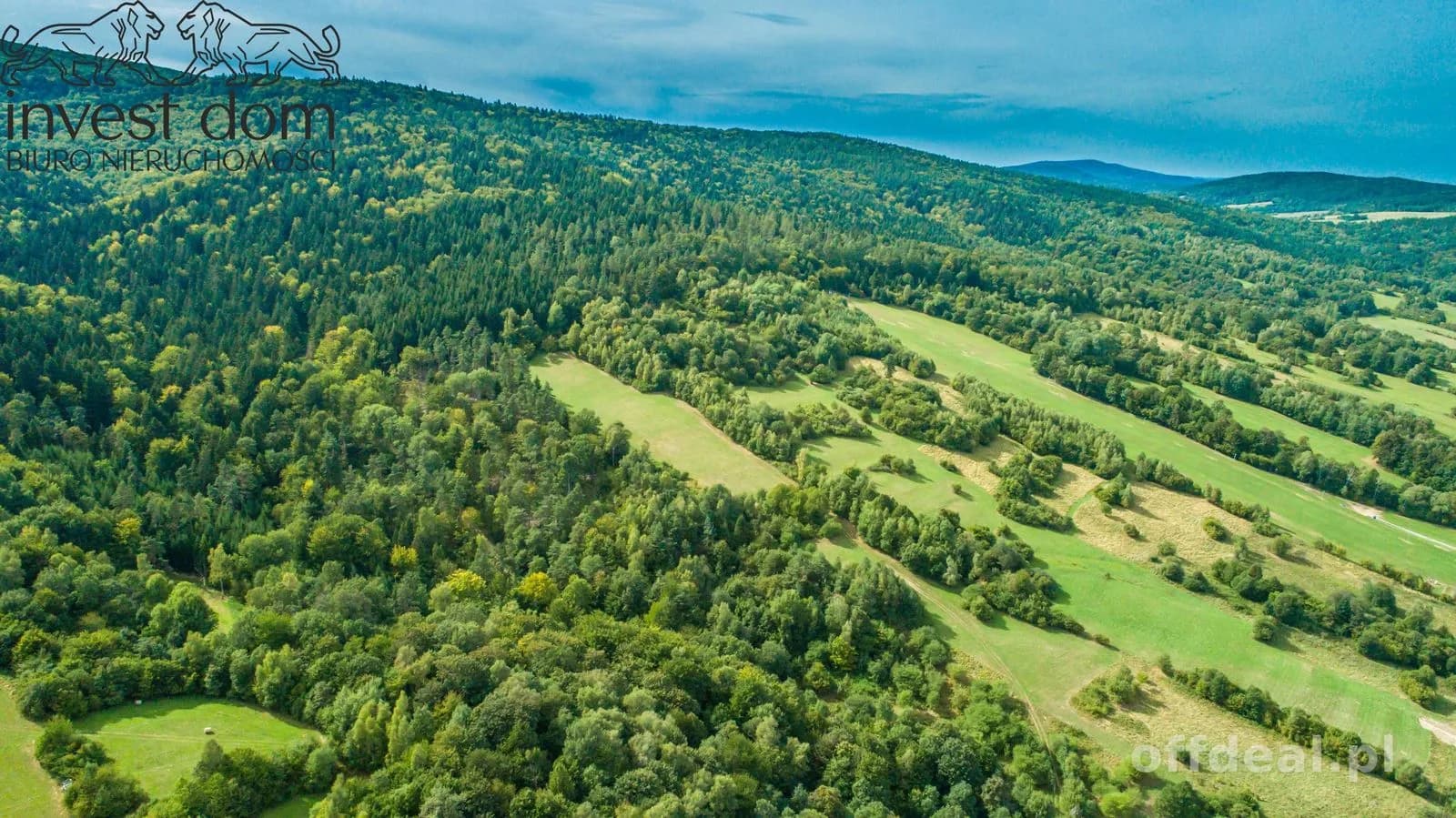 Zdjęcie 19: Działka, 20300 m², Małastów