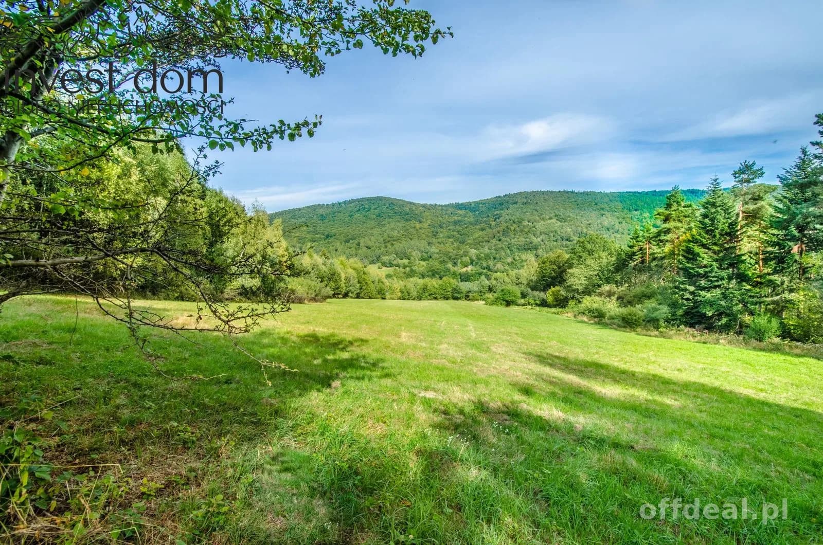 Zdjęcie 1: Działka, 20300 m², Małastów