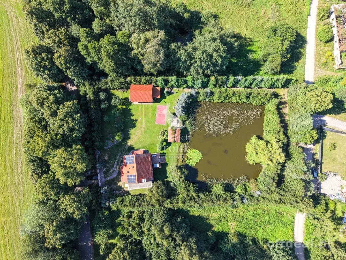 Dom z sadzawką i pięknym ogrodem na dużej działce