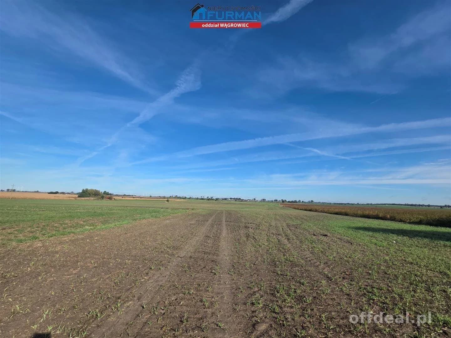 terrain à vendre à Grylewo | 1 249 m²