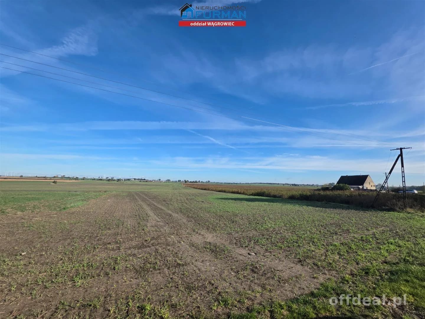terrain à vendre à Grylewo | 1 249 m²