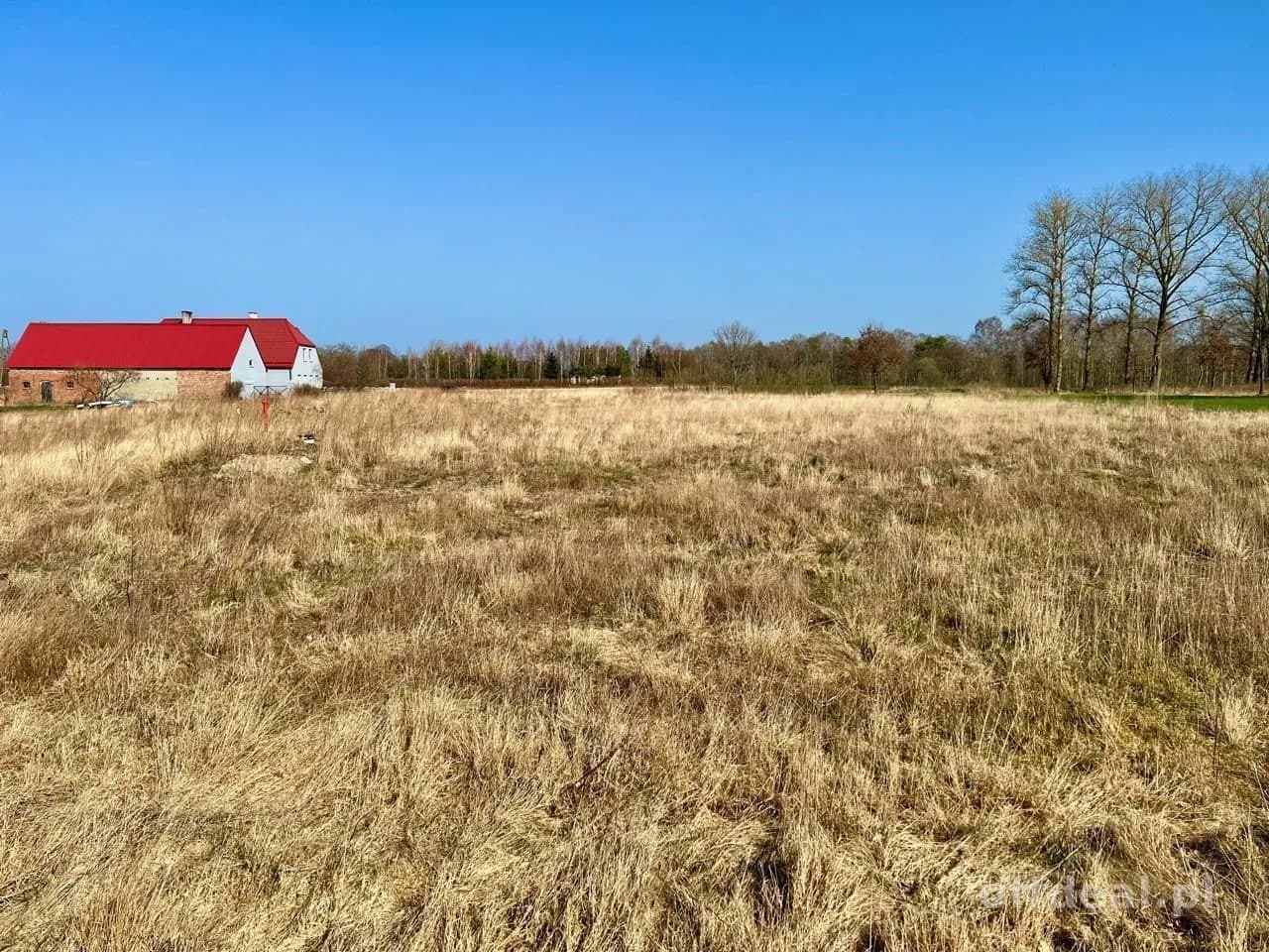 ділянка на продаж у Ołużna | 801 m²