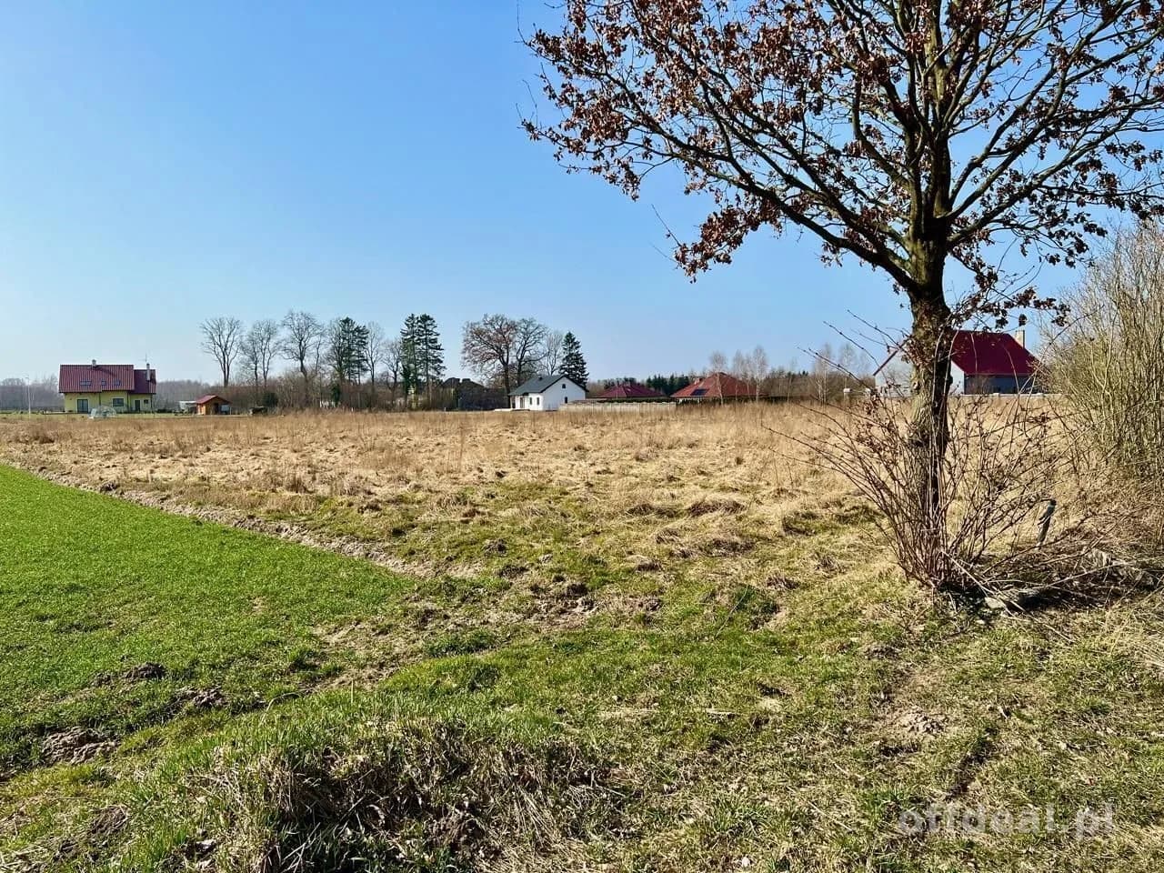 ділянка на продаж у Ołużna | 801 m²
