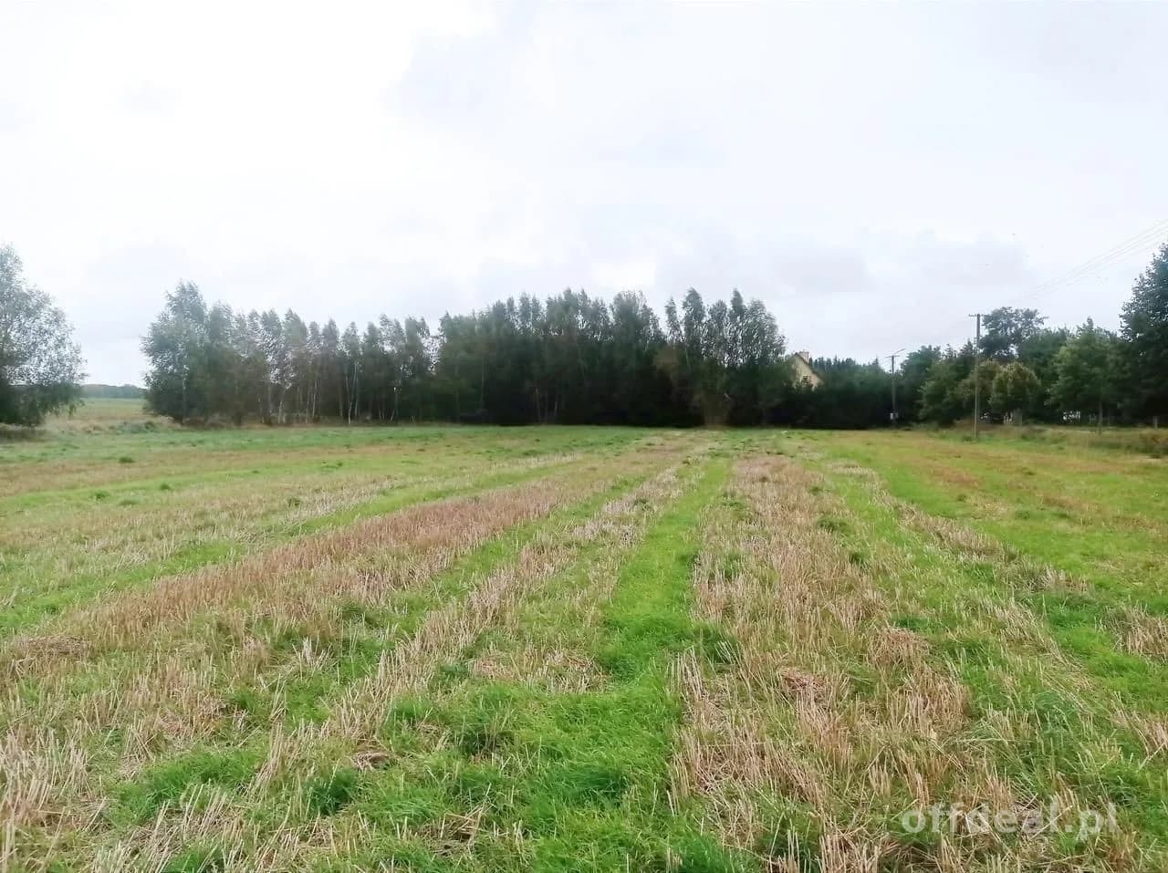 plot for sale in Morowo | 4,950 m²