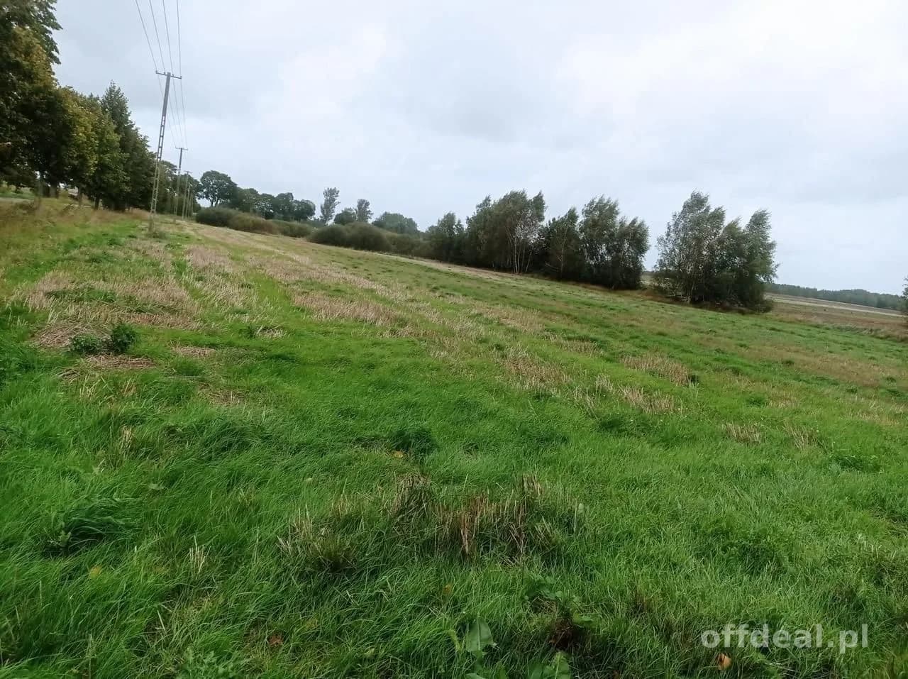 plot for sale in Morowo | 4,950 m²