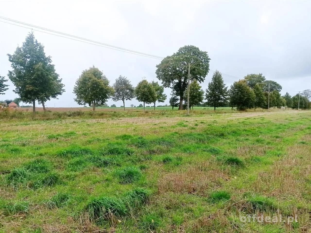plot for sale in Morowo | 4,950 m²