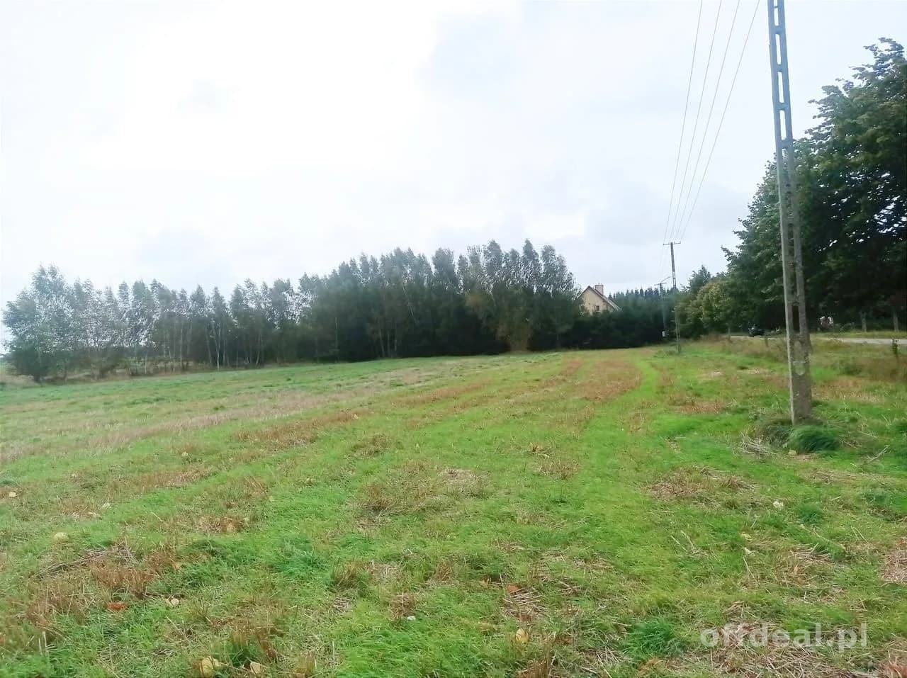 plot for sale in Morowo | 4,950 m²