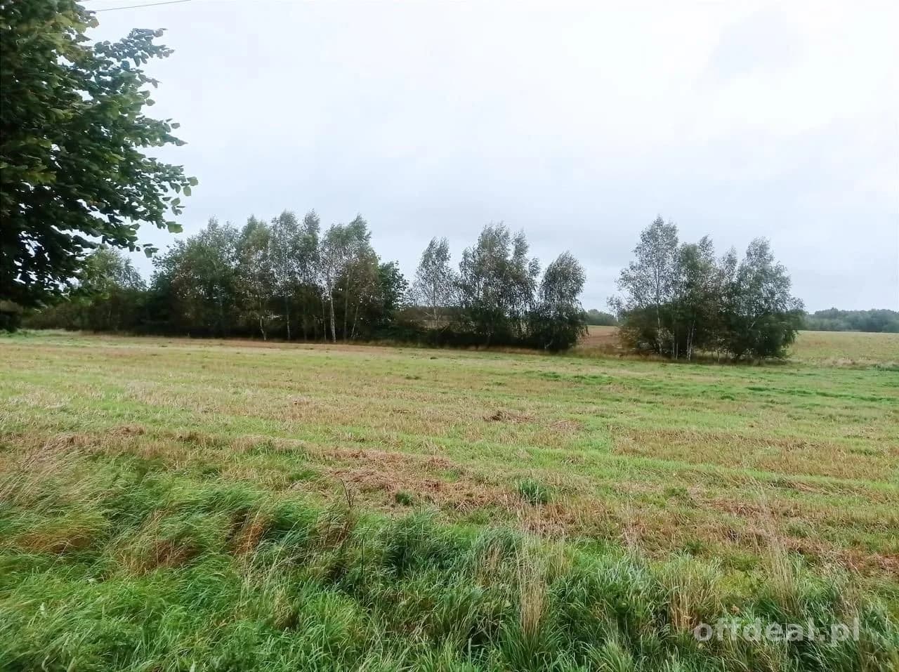 plot for sale in Morowo | 4,950 m²