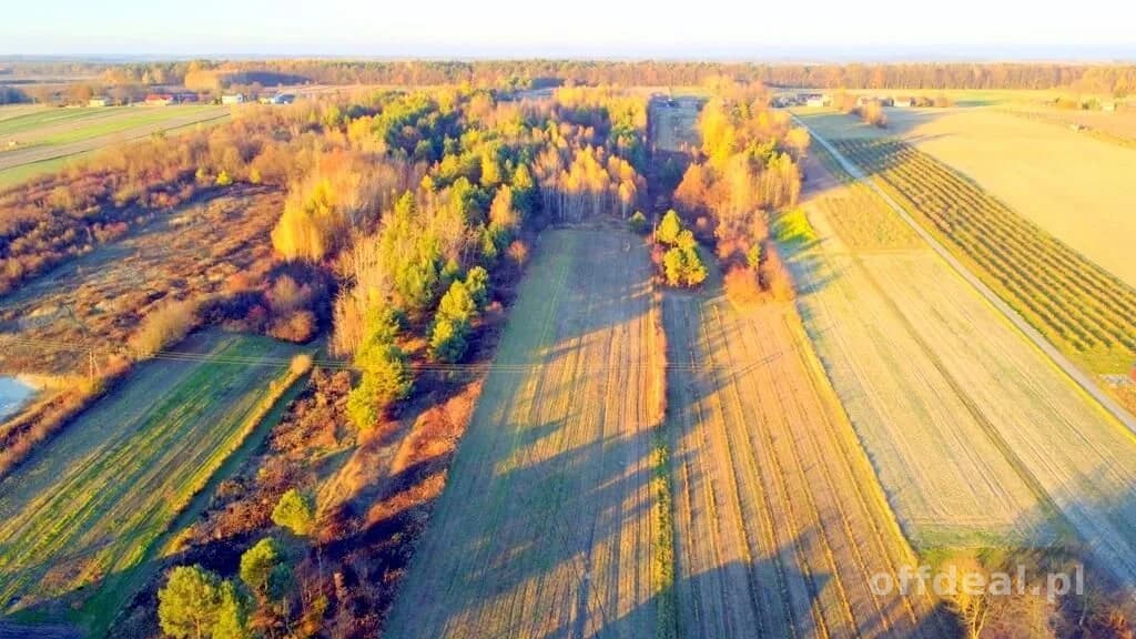 Stare Siedlisko Krzywie 42 gm Dierzkowice