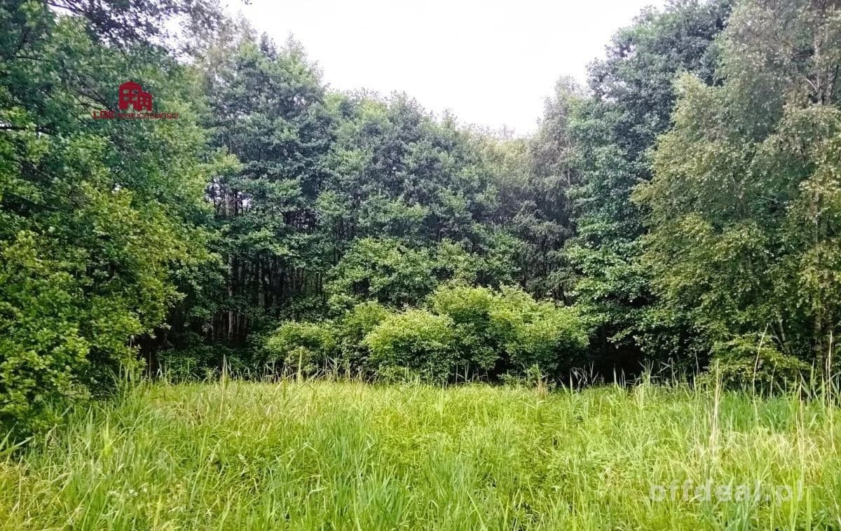 Nieruchomość gruntowa nad rzeką Redą z potencjałem