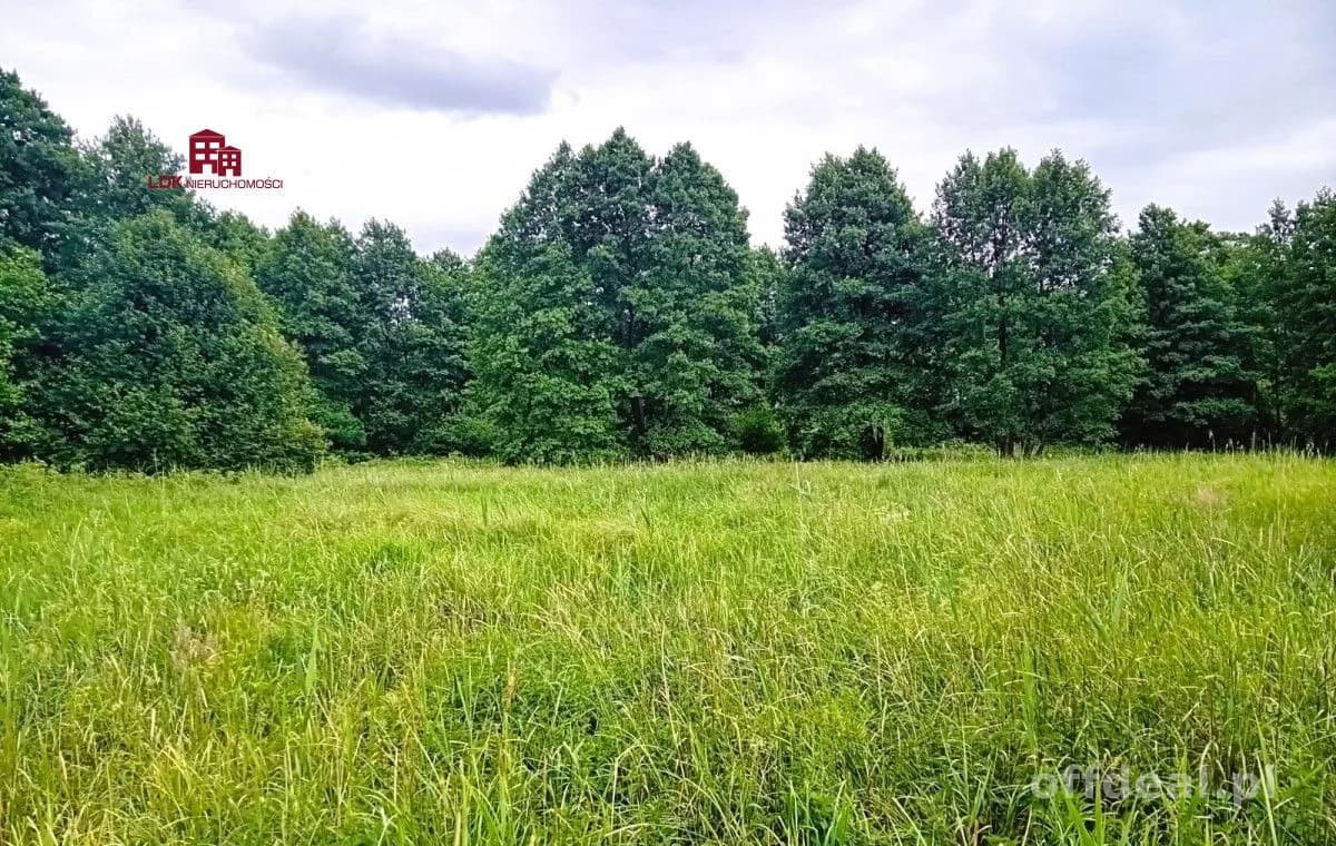 Nieruchomość gruntowa nad rzeką Redą z potencjałem