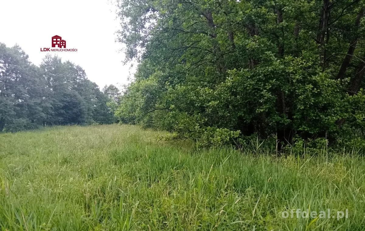 Lokata kapitału w ziemię i las