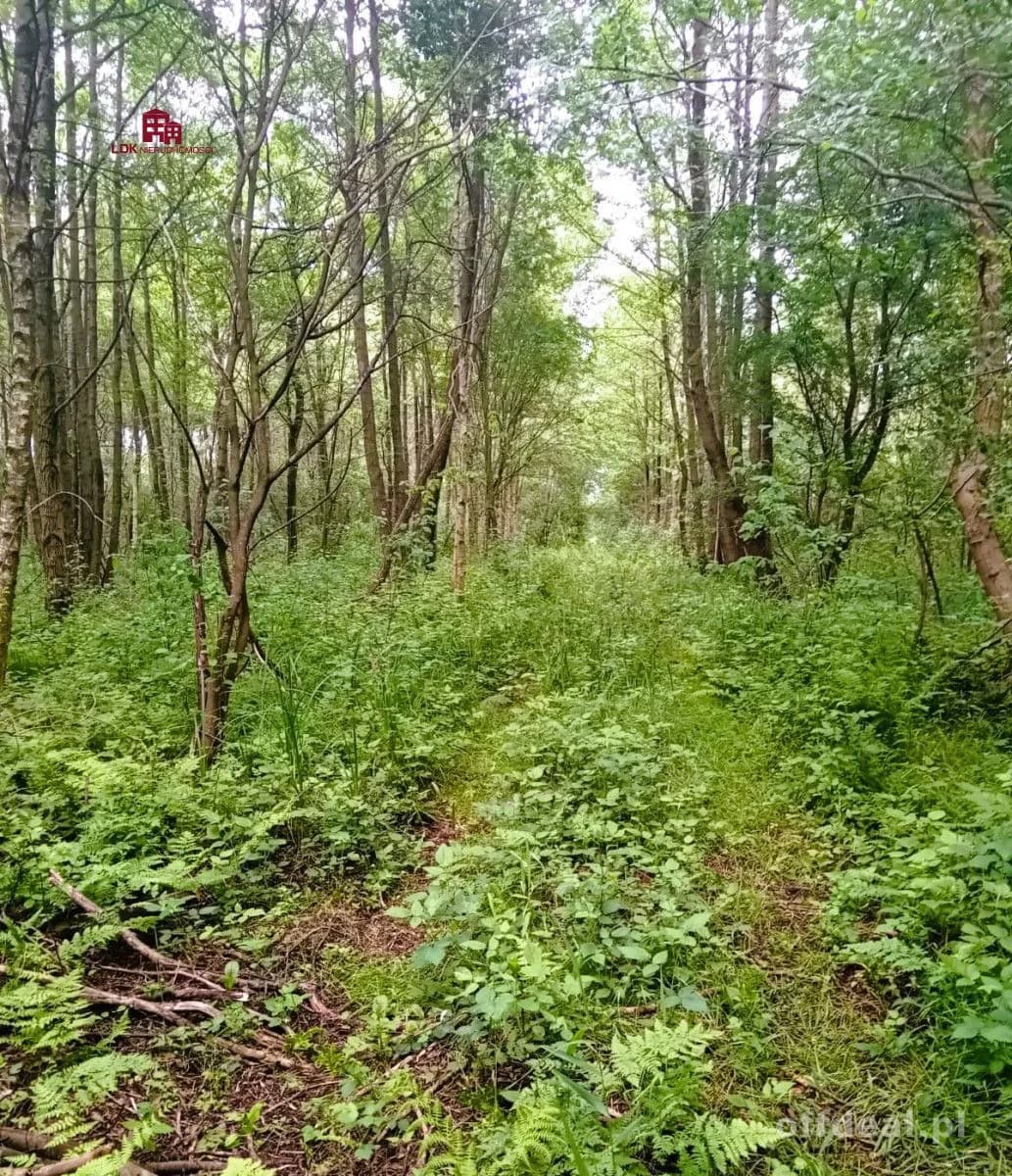 Nieruchomość gruntowa nad rzeką Redą z potencjałem