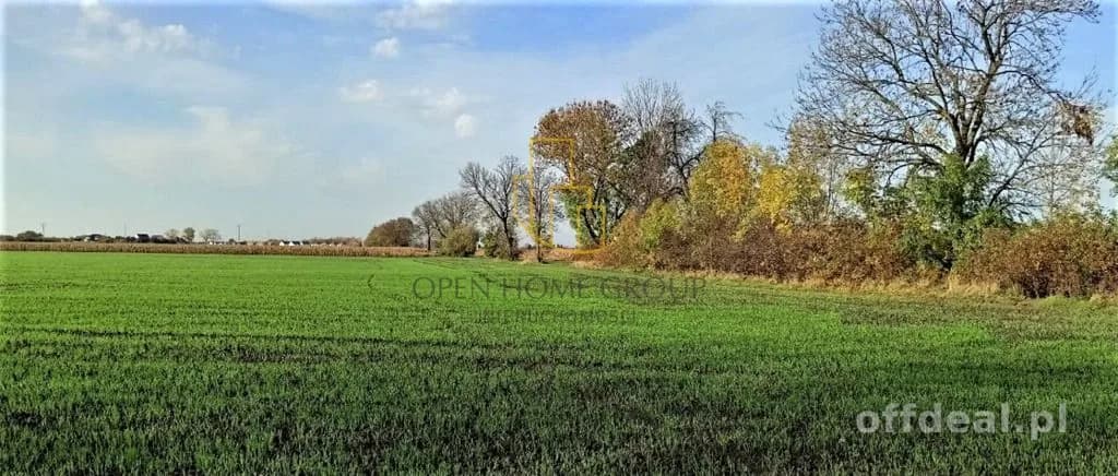 plot for sale in Mnichowice