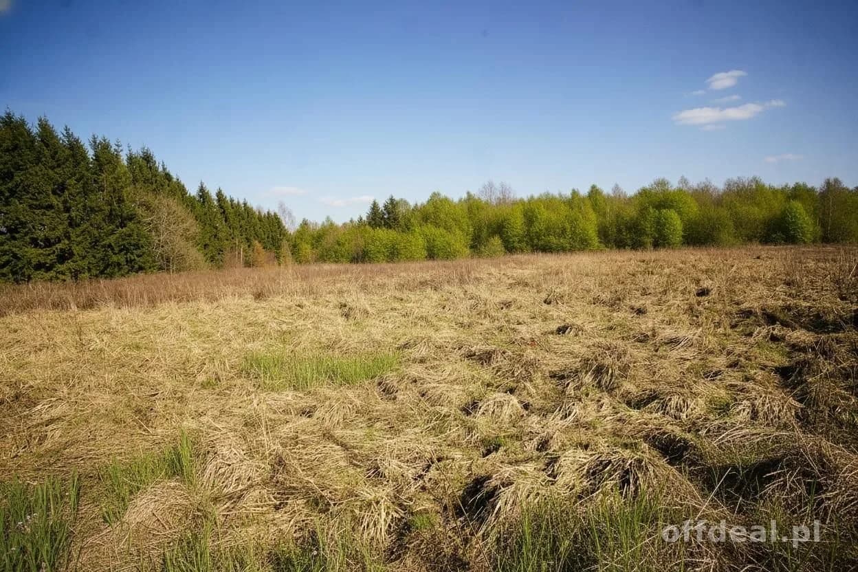 ділянка на продаж у Węgorzewo | 6 384 m²