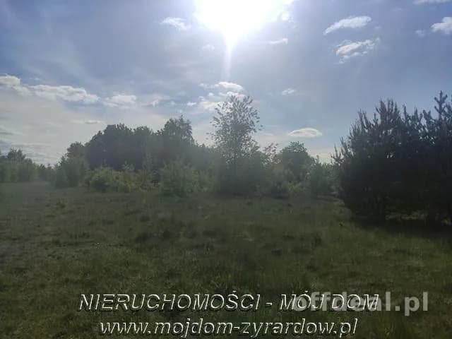 Duża działka w okolicy Żyrardowa.