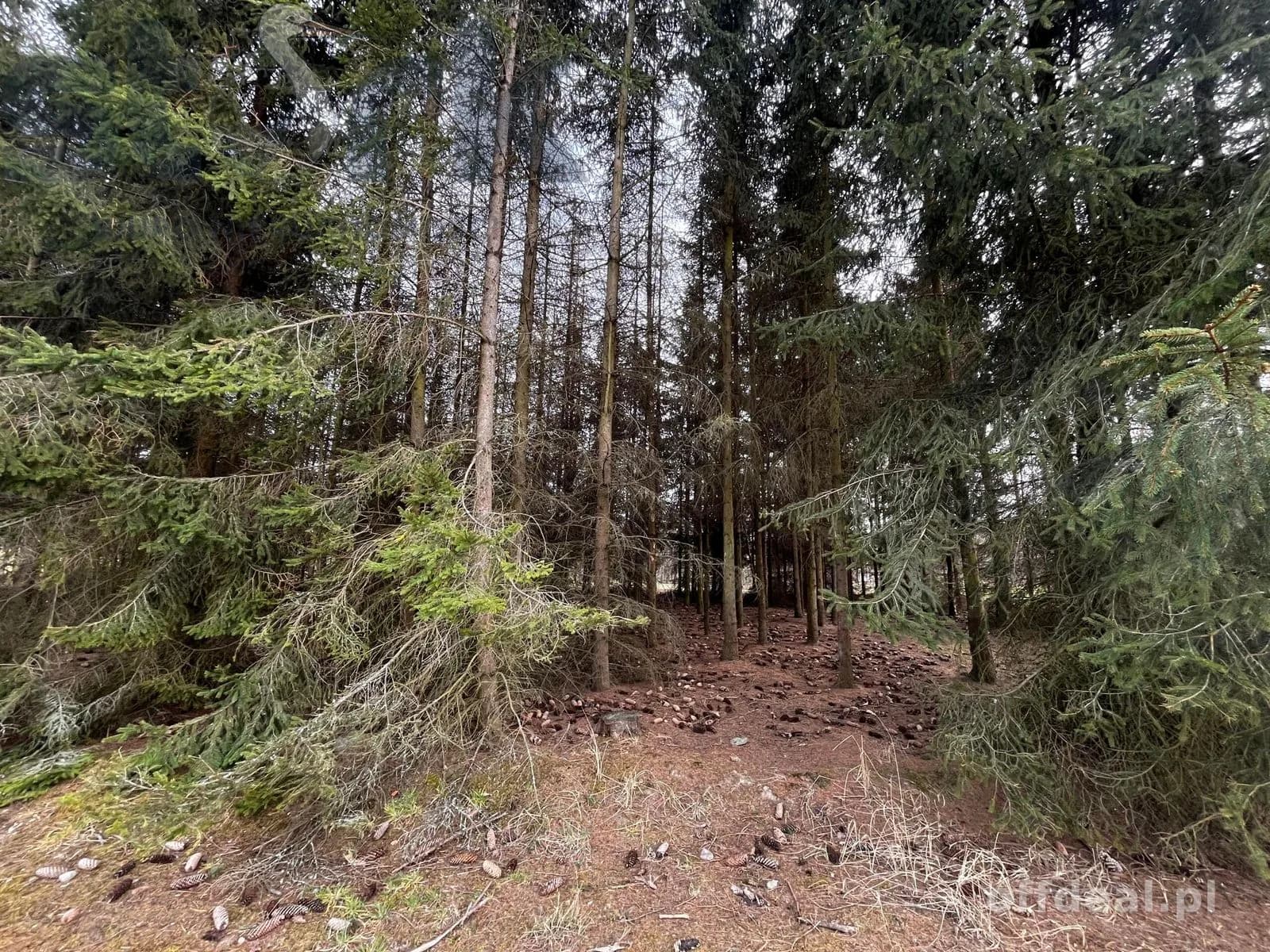 plot for sale in Mszczonów | 1,800 m²