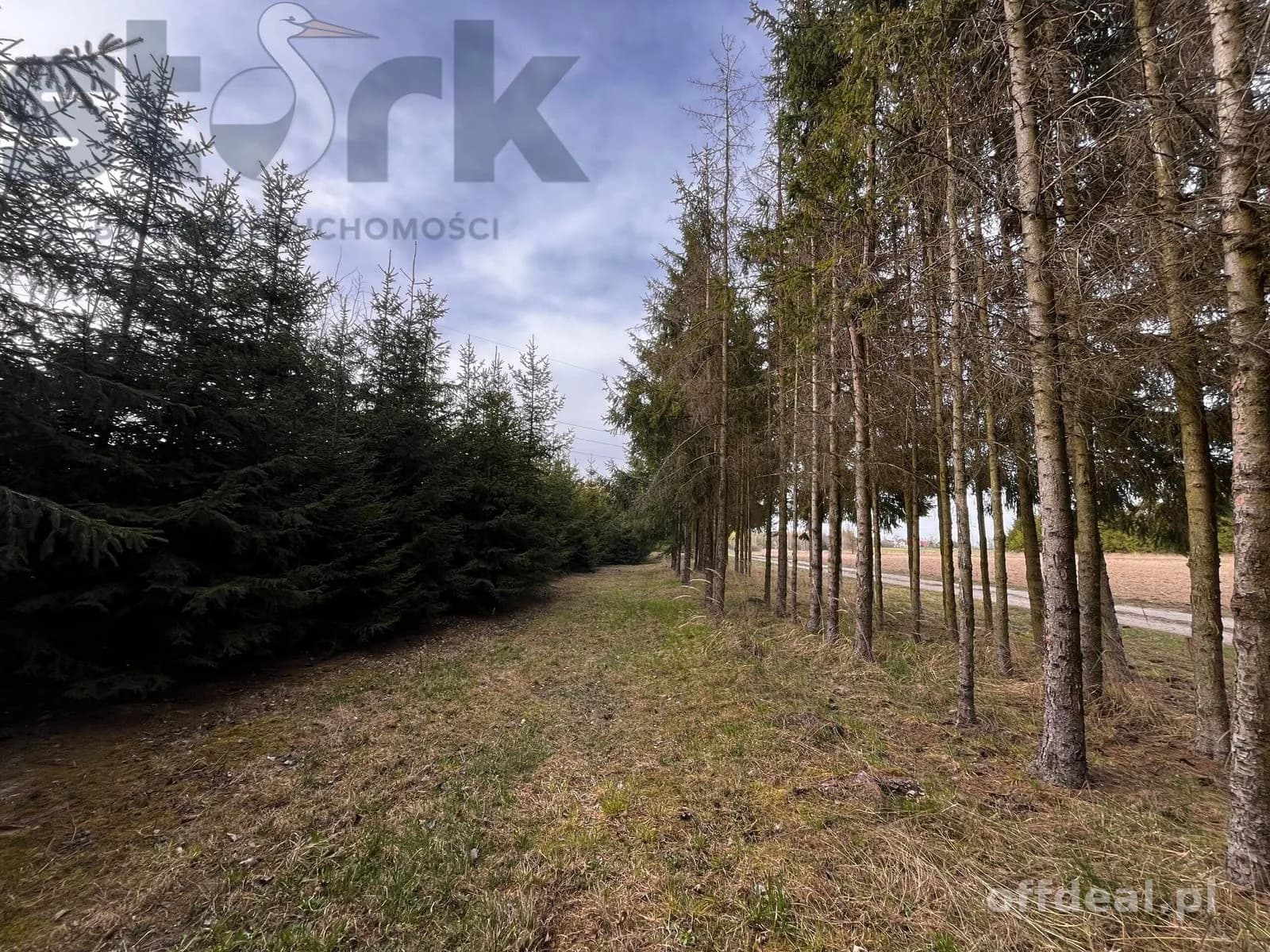 plot for sale in Mszczonów | 1,800 m²